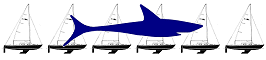 The Ottawa River Shark Fleet