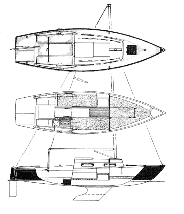 Halman built Shark
