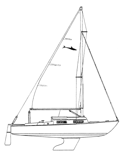 Shark Sail Plan